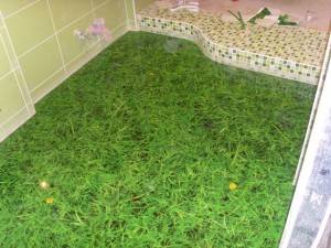 Зеленая трава в ванной