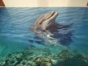 Дельфин в 3д на полу